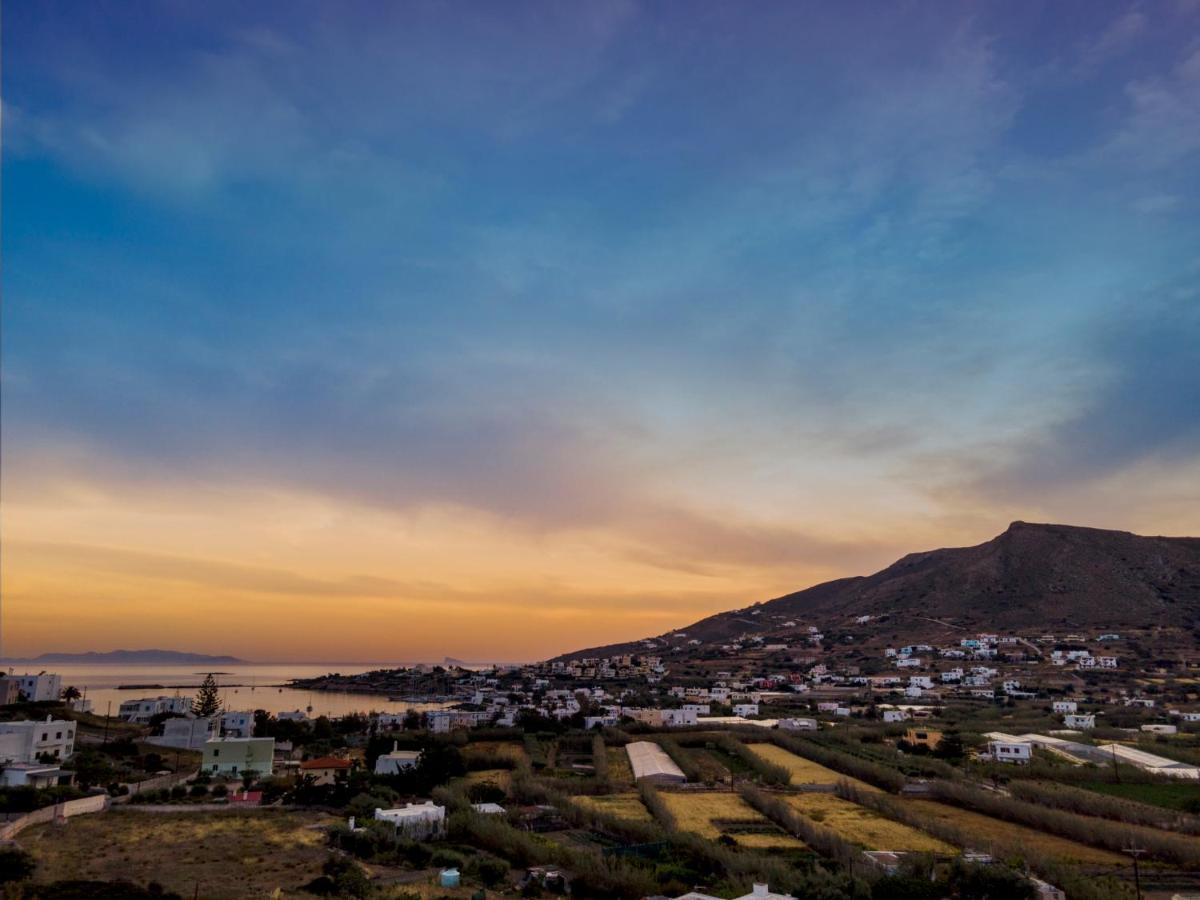 Villa Mare Syros فينيكاس المظهر الخارجي الصورة